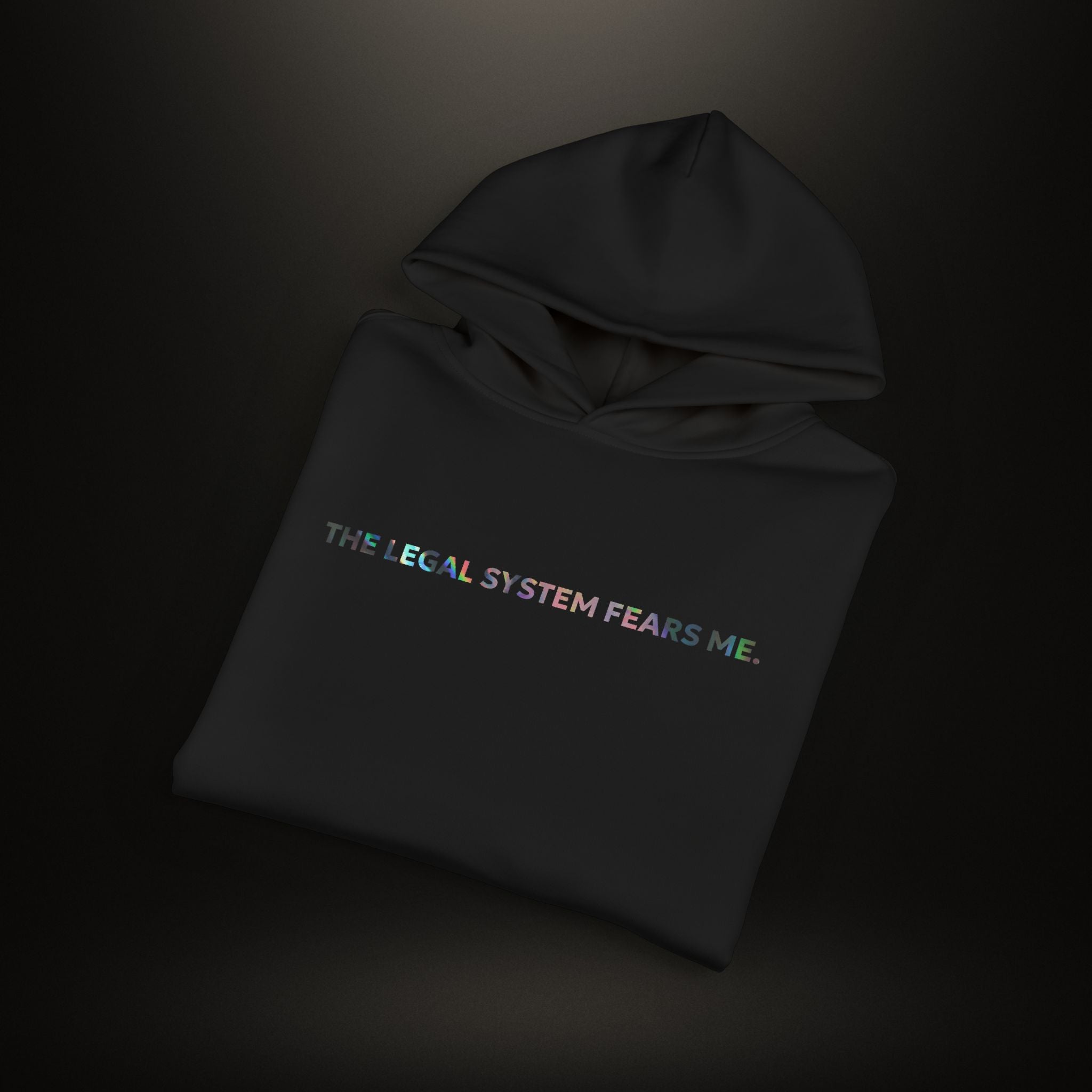 MS Collection 'The Legal System Fears Me' Relaxed Hoodie