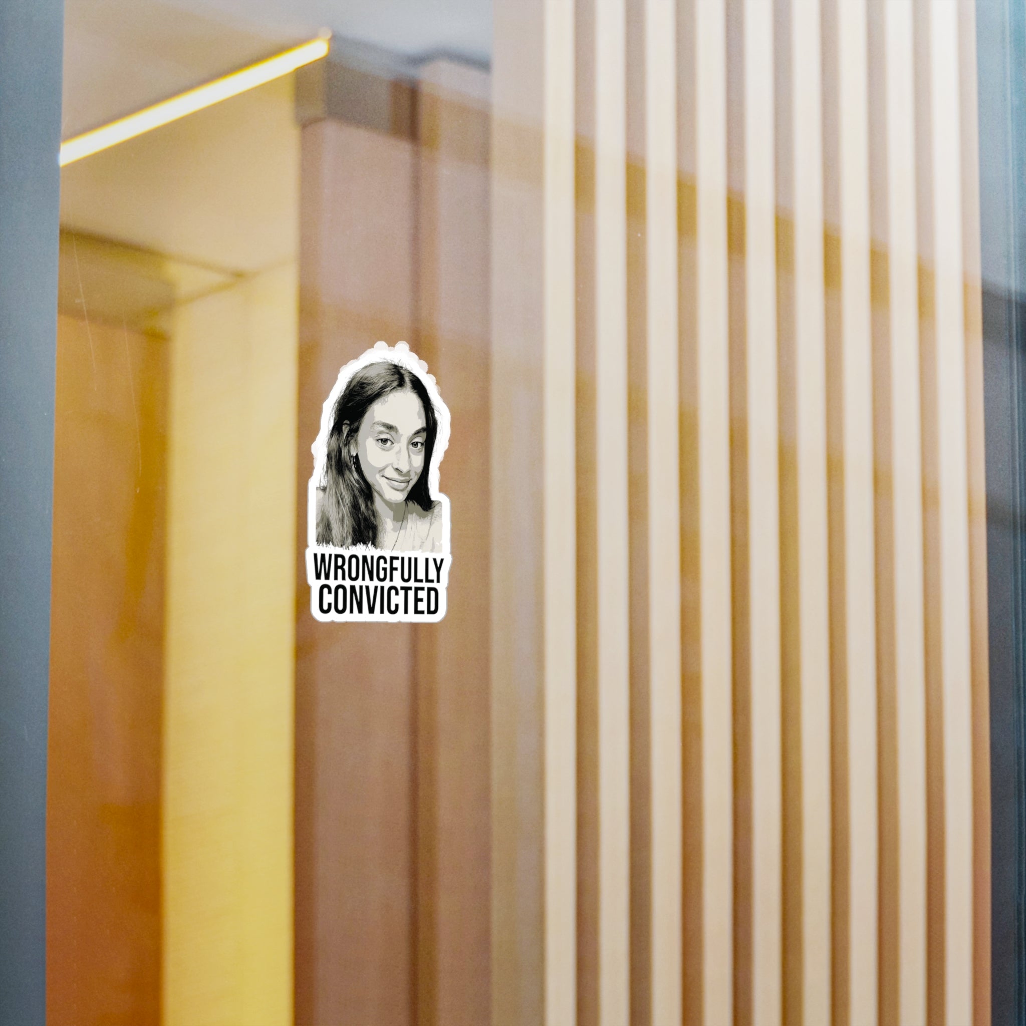 "Wrongfully Convicted" 3"x4" Kiss-Cut Stickers