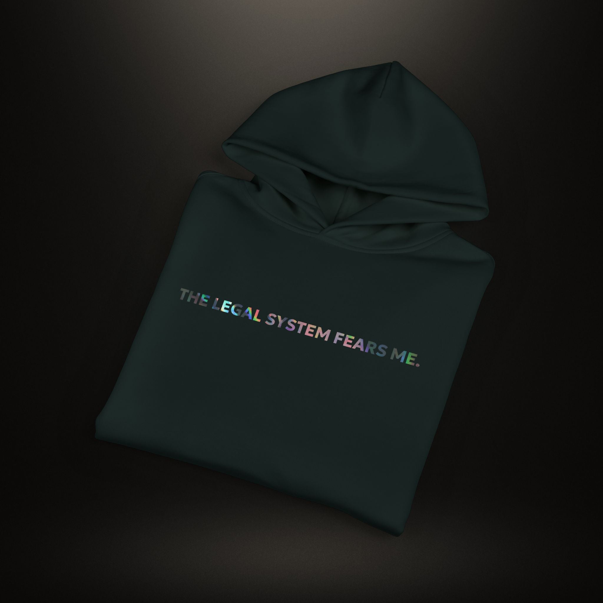MS Collection 'The Legal System Fears Me' Relaxed Hoodie